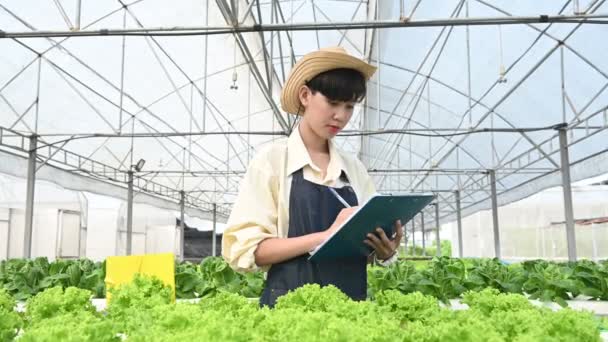 Asian Farmer Woman Working Salad Farm Female Asia Growing Vegetables — Video