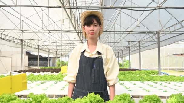 Asiatisk Bonde Kvinna Arbetar Sallad Gård Kvinna Asien Odla Grönsaker — Stockvideo