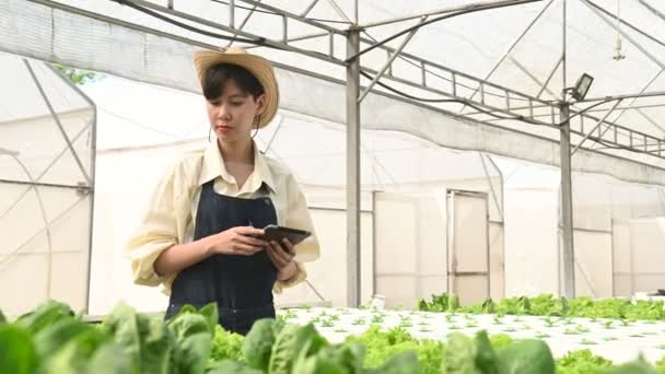 Asian Farmer Woman Working Salad Farm Female Asia Growing Vegetables — Vídeo de Stock
