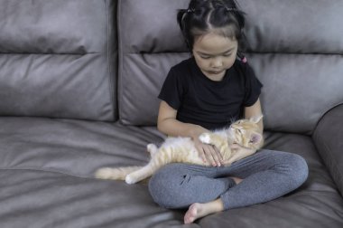 Asian girl with her cute cat,She play with kitten