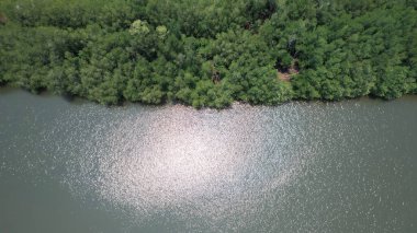 A bird's-eye view of the river and mangrove forest from a drone.
