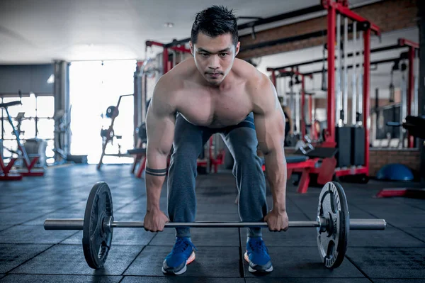 英俊的男子在健身房锻炼 亚洲男子举重参加田径比赛 拉哑铃练背部肌肉 — 图库照片