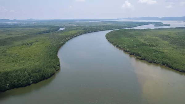 A bird\'s-eye view of the river and mangrove forest from a drone.