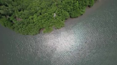 Bird eye view of the mangrove forest from drone, Chanthaburi of Thailand