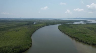 Bird eye view of the mangrove forest from drone, Chanthaburi of Thailand
