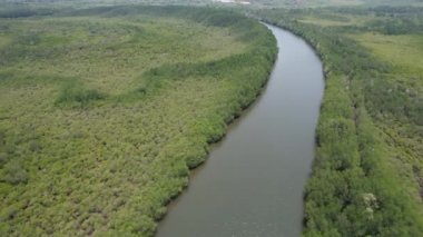 Bird eye view of the mangrove forest from drone, Chanthaburi of thailand