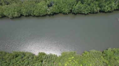 Bird eye view of the mangrove forest from drone, Chanthaburi of thailand