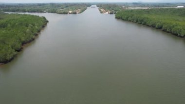 Bird eye view of the mangrove forest from drone, Chanthaburi of thailand