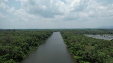 Bird eye view of the mangrove forest from drone, Chanthaburi of thailand