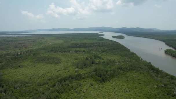 Bird Eye View Mangrove Forest Drone Chanthaburi Thailand — Stock video