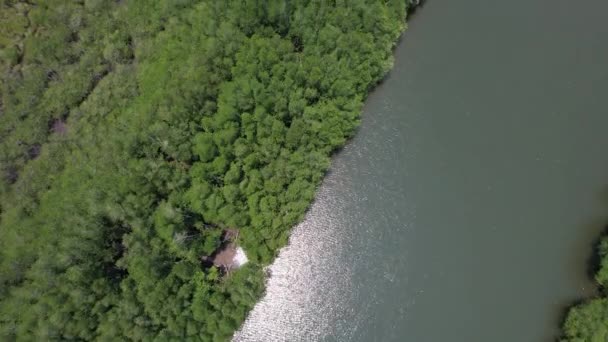 Bird Eye View Mangrove Forest Drone Chanthaburi Thailand — Stock video
