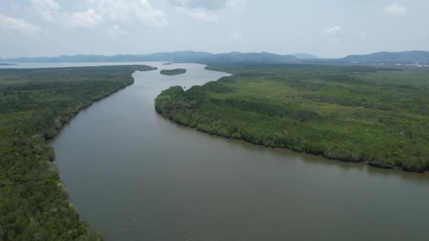 Bird Eye View Mangrove Forest Drone Chanthaburi Thailand — Stockvideo