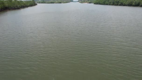 Bird Eye View Mangrove Forest Drone Chanthaburi Thailand — Stock video