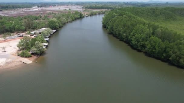 Bird Eye View Mangrove Forest Drone Chanthaburi Thailand — Stockvideo