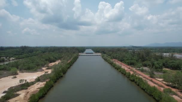 Bird Eye View Mangrove Forest Drone Chanthaburi Thailand — Stockvideo