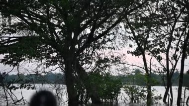 Portrait of asian woman make up ghost face at the swamp, Horror in water scene, Scary at river, Halloween poster, Thailand people
