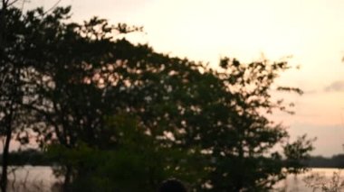 Portrait of asian woman make up ghost face at the swamp, Horror in water scene, Scary at river, Halloween poster, Thailand people