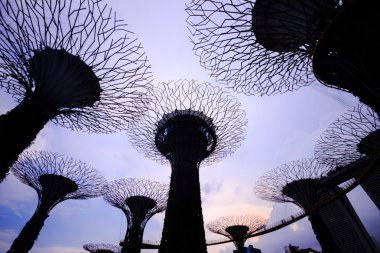 supertree groove Singapur sillouette günbatımı