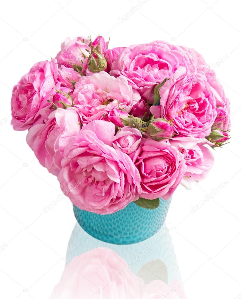 Pink tea roses bouquet in vase isolated.