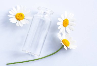 Tıbbi papatya ve daha beyaz bir arka planda cam bir şişe.