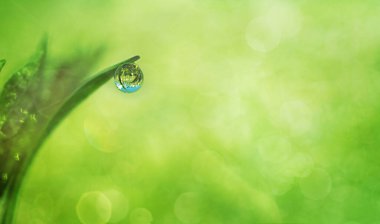 Yeşil arka planda çimlerin üzerine büyük bir düşüş.
