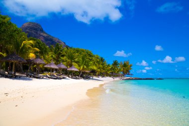 White sandy beach with umbrellas Mauritius clipart