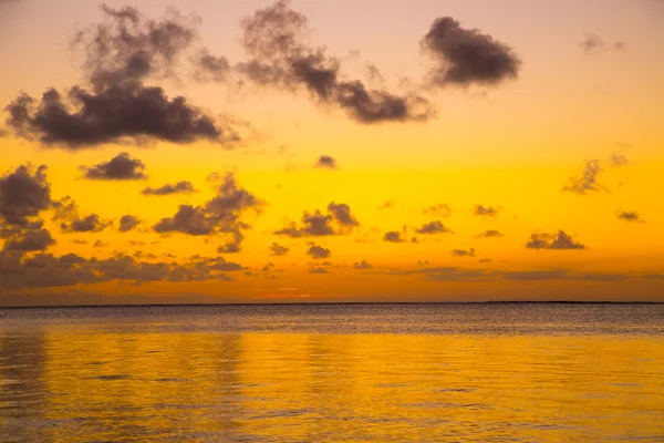 Желтое небо на закате — стоковое фото