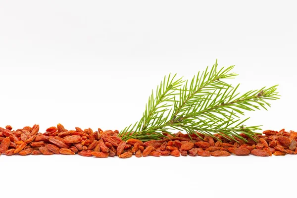 Dried wolfberries useful and Christmas tree — Stock Photo, Image