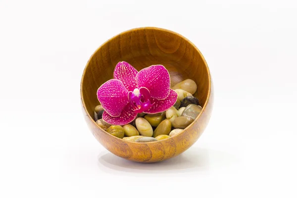 Orchid and sea pebbles in a circle — Stock Photo, Image