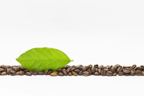 Op smaak gebrachte koffie bonen en groen blad Stockfoto