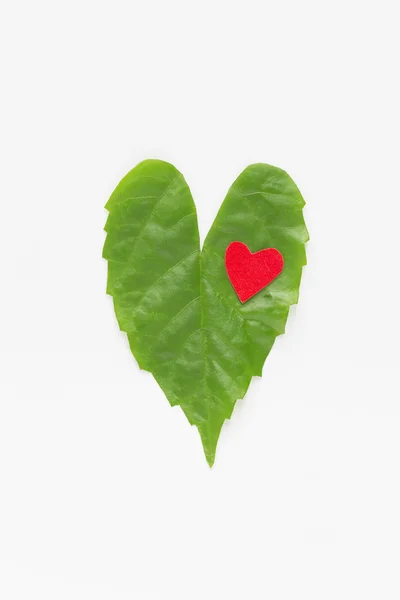 Καρδιά από τα φύλλα του δέντρου 2 — Φωτογραφία Αρχείου
