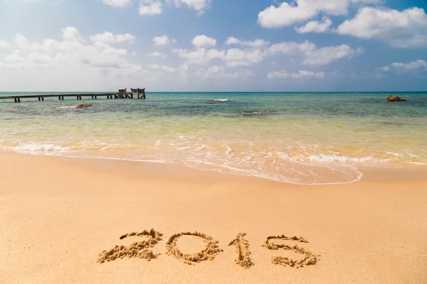 Brug pier op het strand 2015 — Stockfoto