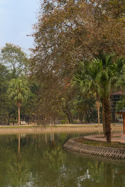 Urban garden in Hanoi — Stock Photo, Image