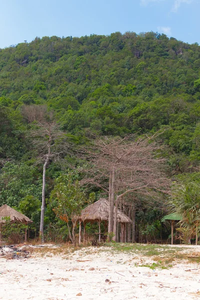 Camping en los trópicos —  Fotos de Stock