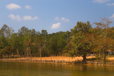 nehir üzerinde müstahkem beach
