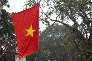 Vietnam bayrağı
