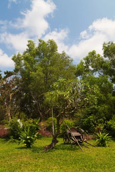 Jardim tropical — Fotografia de Stock