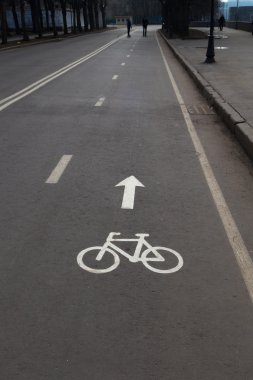 gri asfalt üzerinde beyaz boya boyalı bisiklet lane işareti