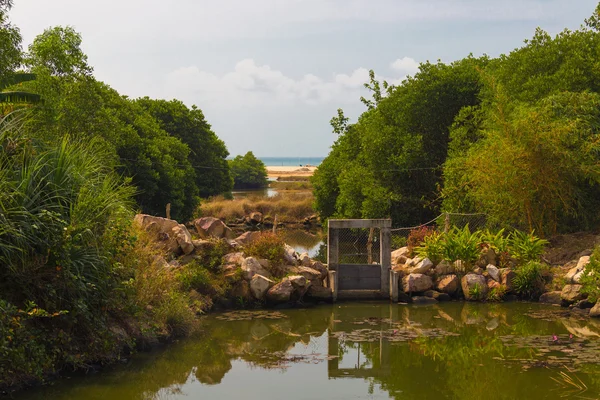 Dam op de rivier — Stockfoto