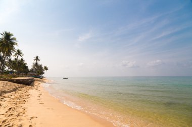 palmiye ağaçları ile deniz manzara