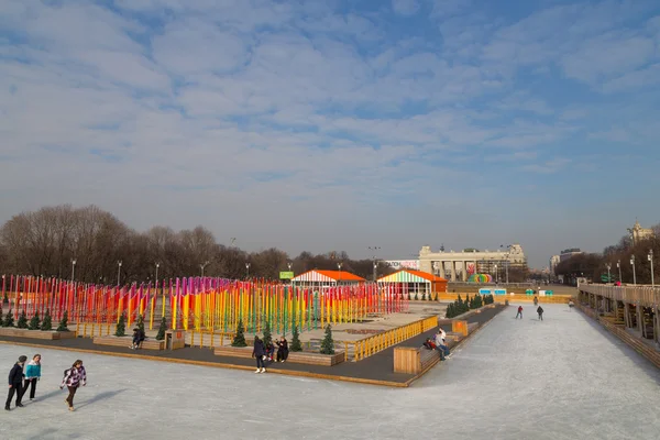 Ijsbaan in de winter gorky park — Stockfoto