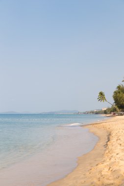 tropikal deniz manzarası