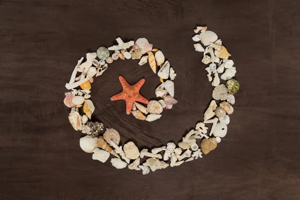 Espiral de conchas marinas y estrella roja —  Fotos de Stock