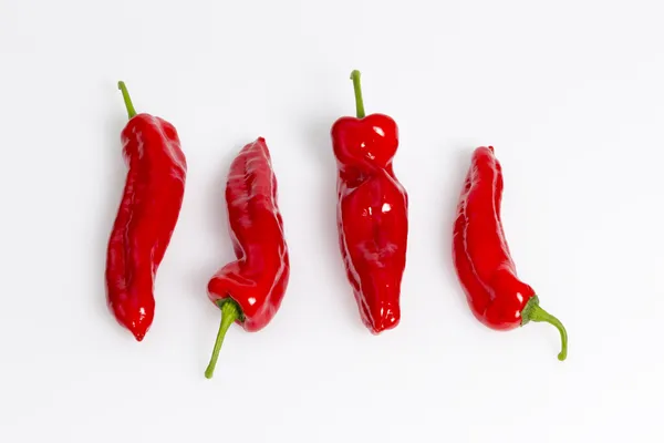 Sweet pepper — Stock Photo, Image