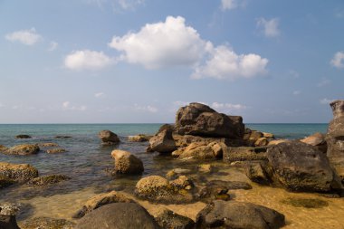 taş ve ılık deniz
