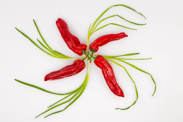 Red bell pepper green chives — Stock Photo, Image