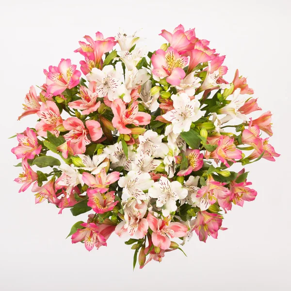 Bouquet d'alstroemeria — Photo