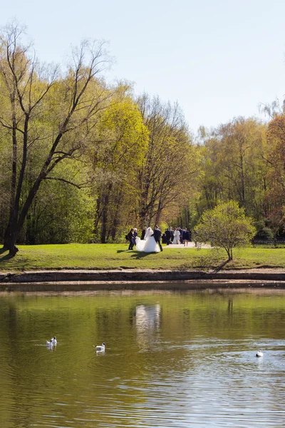 Bruiloft op het meer — Stockfoto