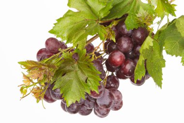 koyu kırmızı üzüm 