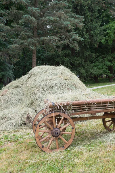 Vagon ve saman — Stok fotoğraf